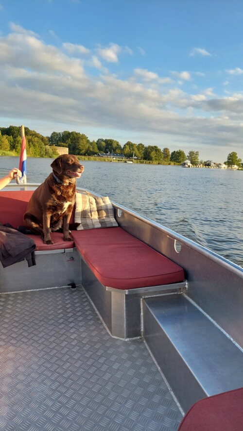 Ruime Aluminium Sloep met stuur